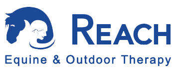 Reachequinetherapy Logo