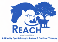 Reachequinetherapy Logo